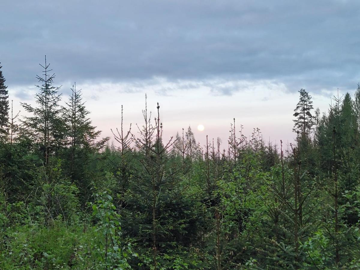 Vaelituvan Lomamoekit Punkaharju Extérieur photo