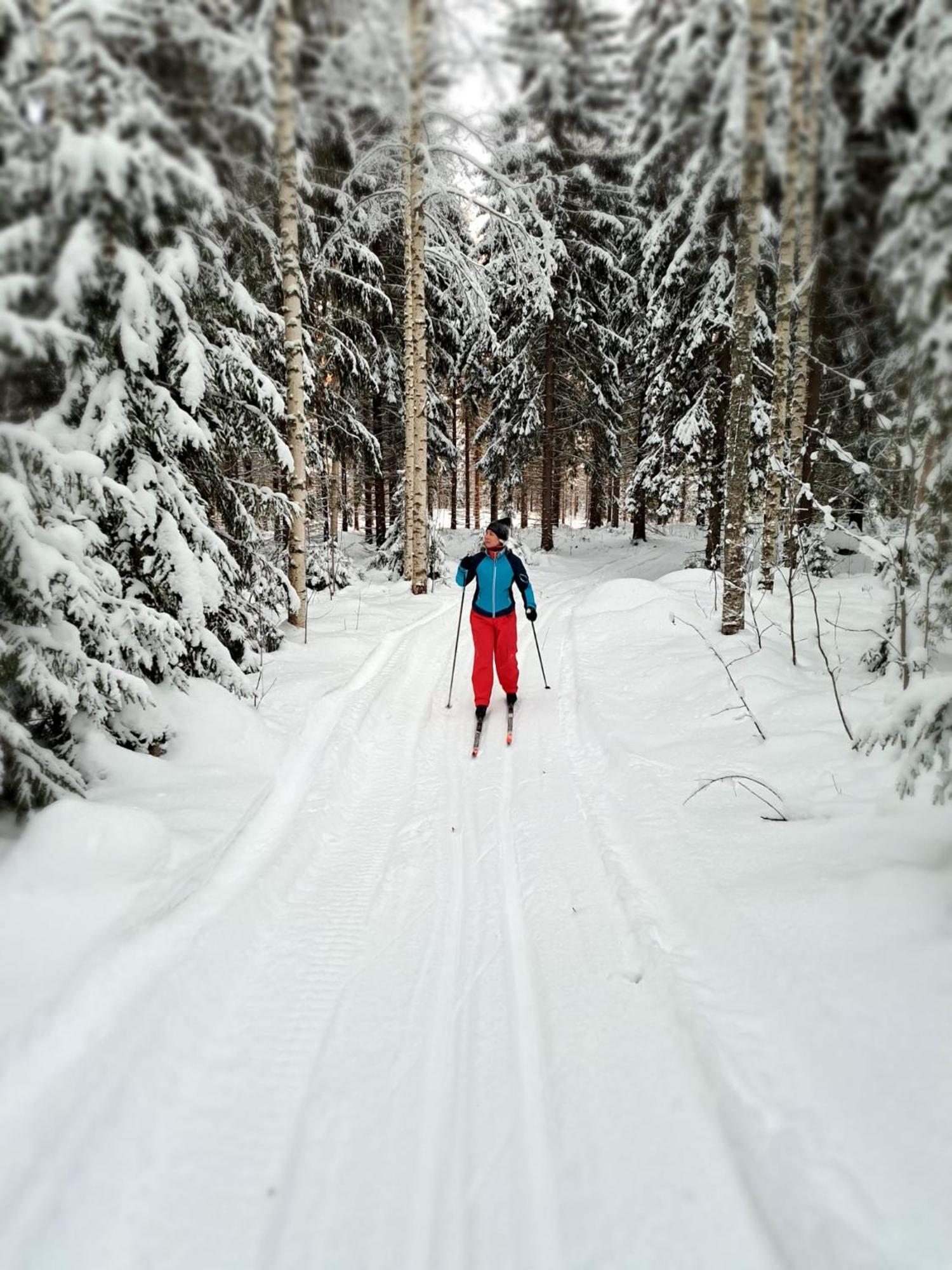 Vaelituvan Lomamoekit Punkaharju Extérieur photo